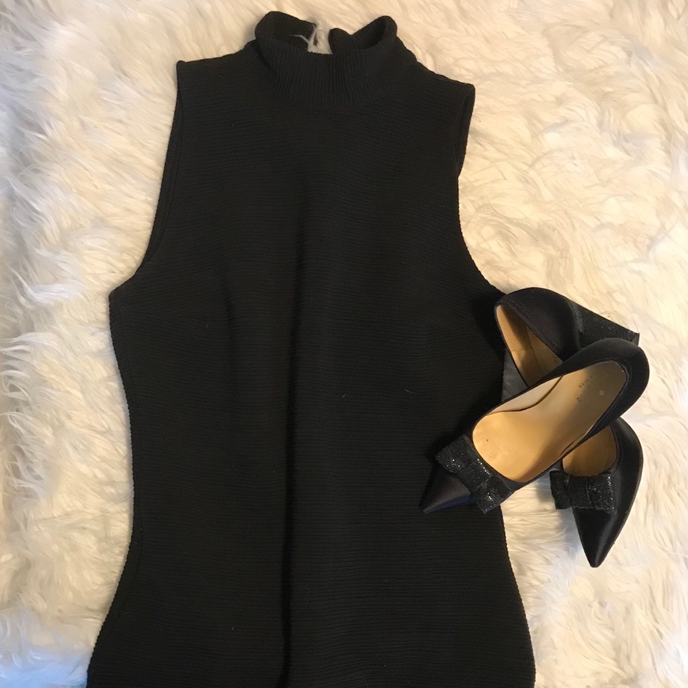 Black Turtle Neck Winter Dress